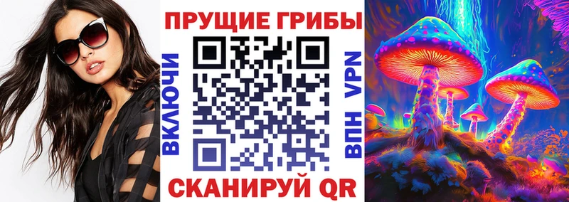 Галлюциногенные грибы Magic Shrooms  Купить где  Пестово 
