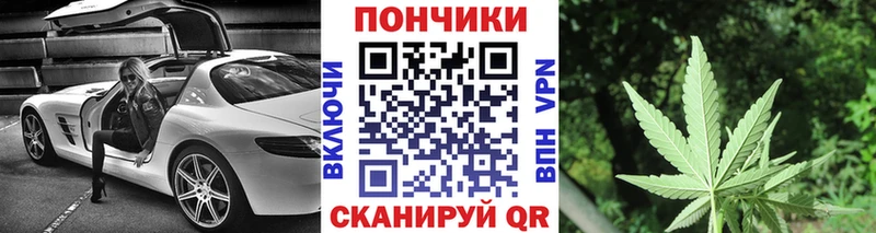 Канабис THC 21%  Купить где  Пестово 